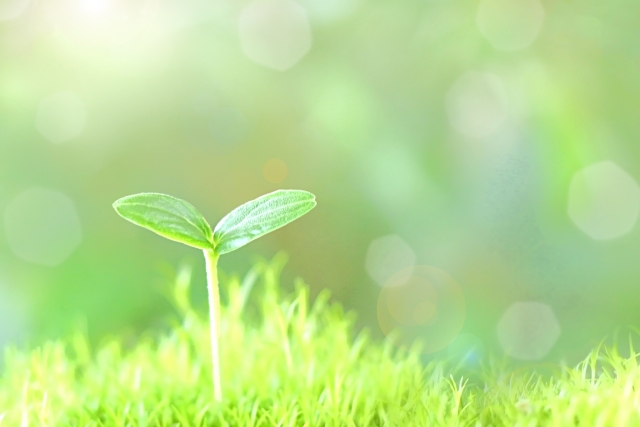 毎日1時間のピアノ練習!30日で1曲弾けた今は仕事が楽しい